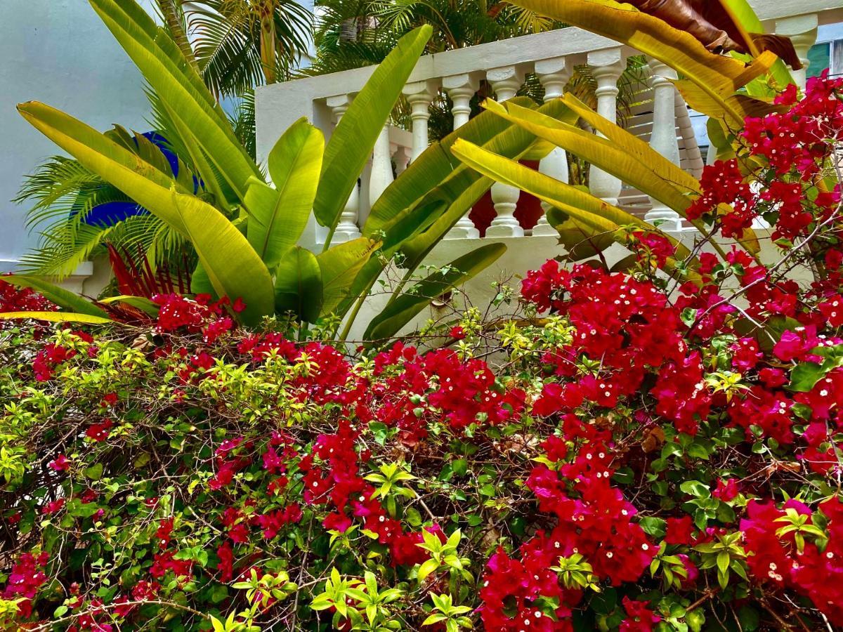 At Wind Chimes Boutique Hotel Σαν Χουάν Εξωτερικό φωτογραφία